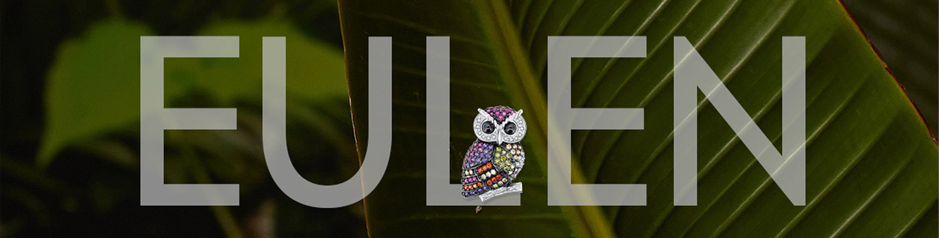 Eule – Weisheit, Schutz und Mystik