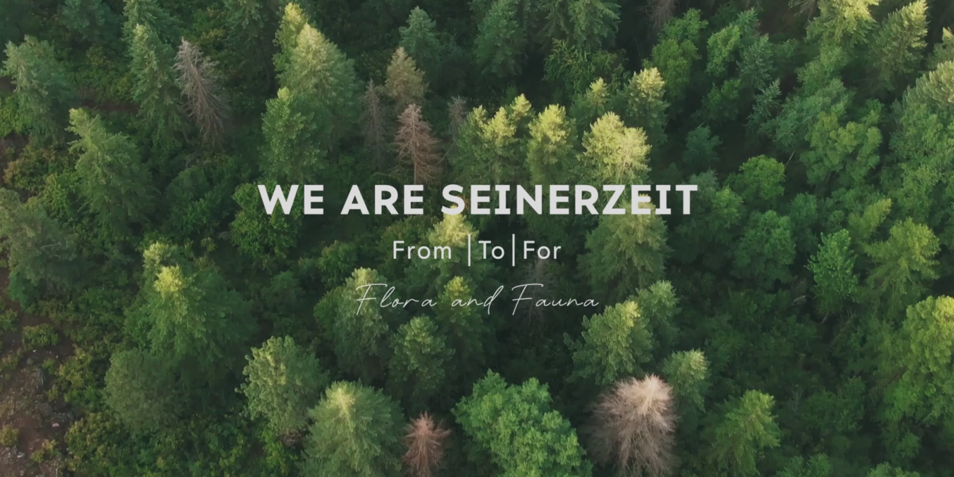 Video of a forest from top view with text saying We are Seinerzeit From | To | For Flora & Fauna