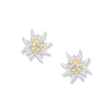 Clara Edelweiss Ohrringe