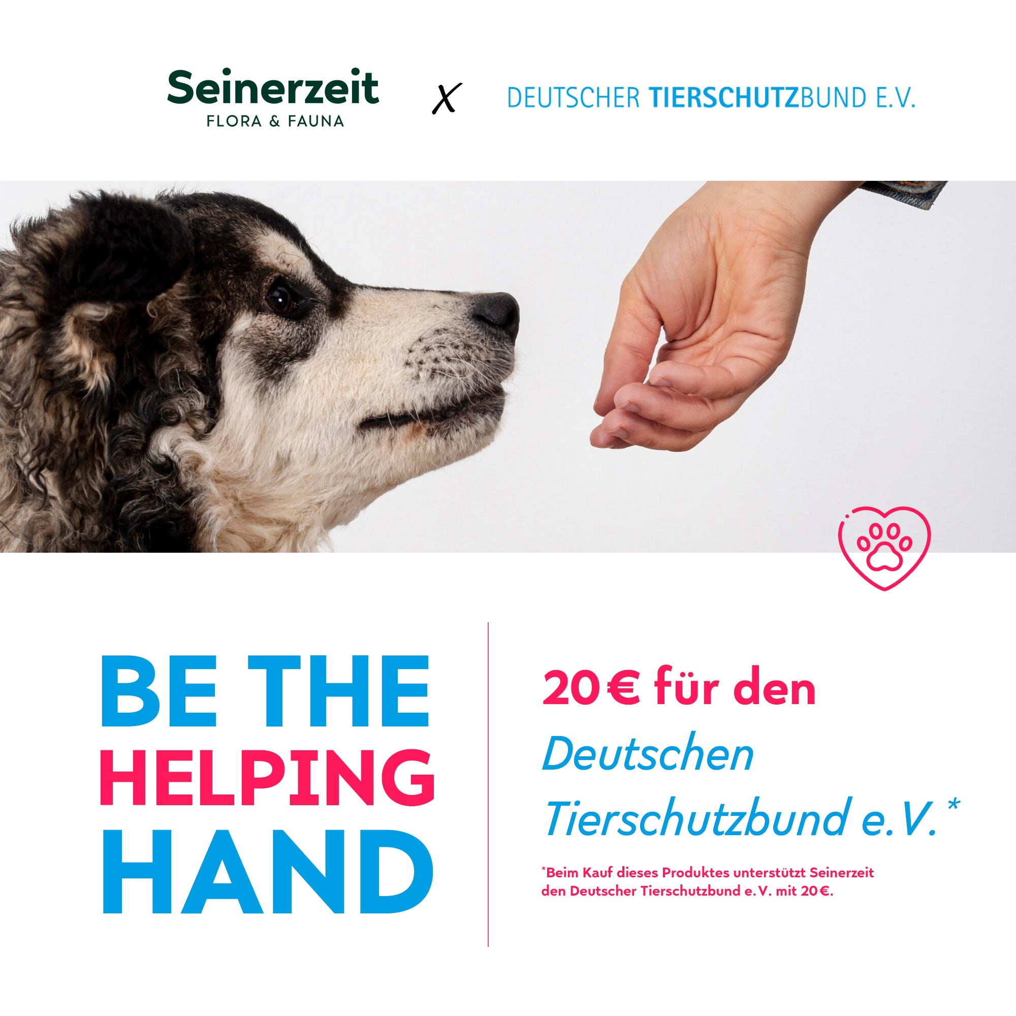 Yang Katzen Anhänger.