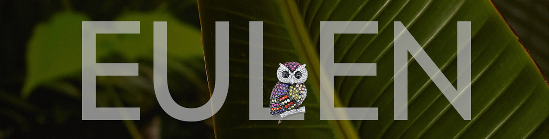 Eule – Weisheit, Schutz und Mystik