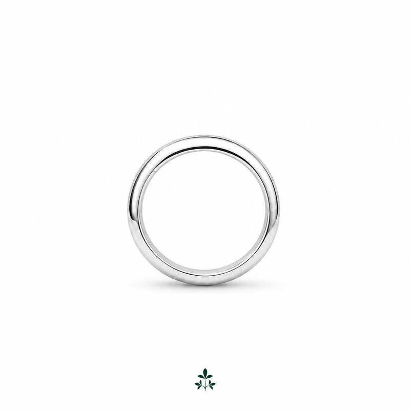 Standard Ringe
