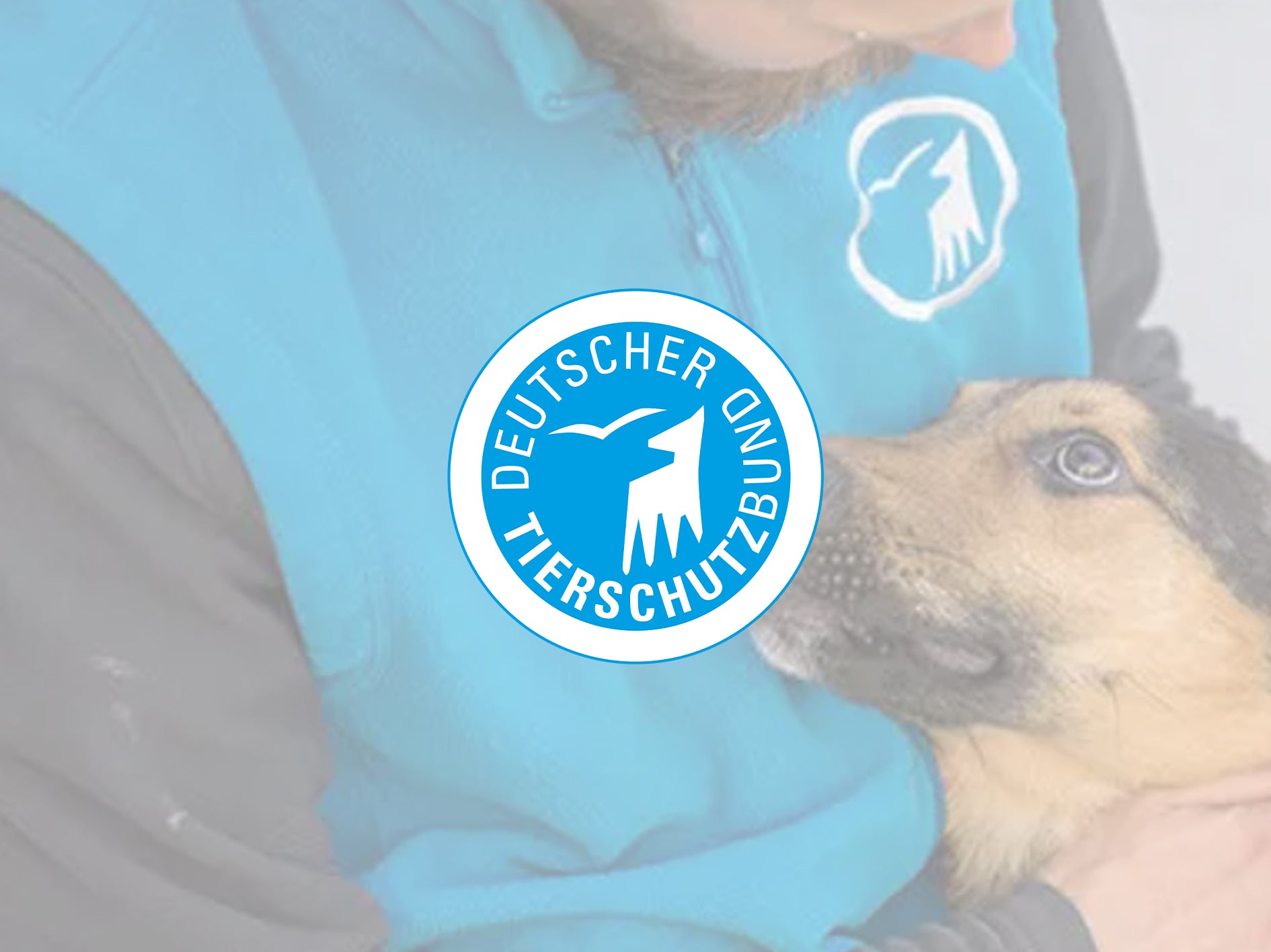 Deutscher Tierschutzbund logo over image of a volunteer in blue vest gently holding and comforting a dog.